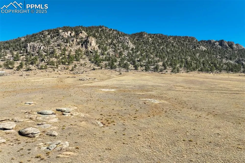 1354 Puma Hills Road Lake George, CO 80827