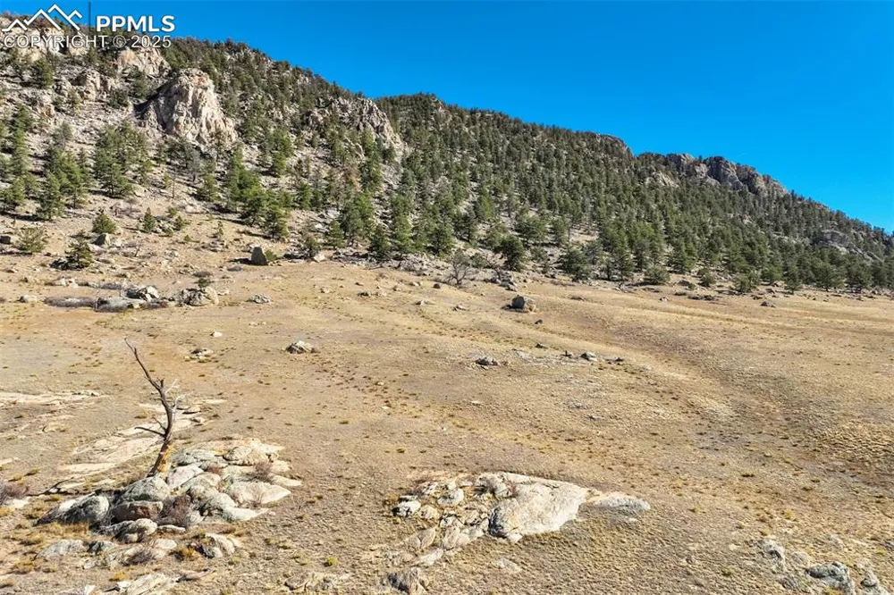 1354 Puma Hills Road Lake George, CO 80827