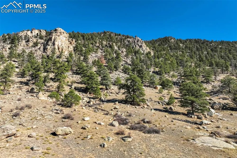 1354 Puma Hills Road Lake George, CO 80827