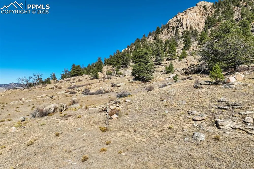 1354 Puma Hills Road Lake George, CO 80827