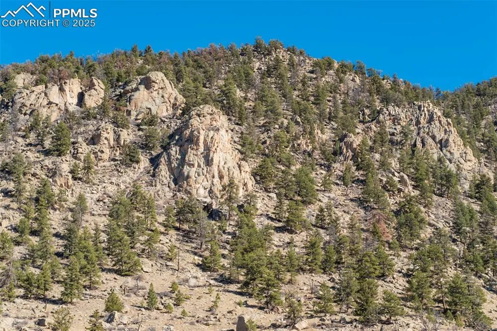 1354 Puma Hills Road Lake George, CO 80827