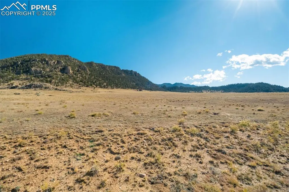 1354 Puma Hills Road Lake George, CO 80827
