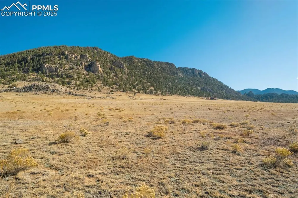 1354 Puma Hills Road Lake George, CO 80827