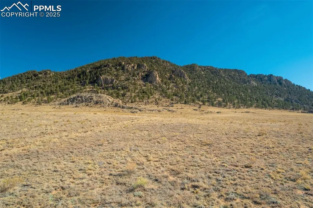 1354 Puma Hills Road Lake George, CO 80827