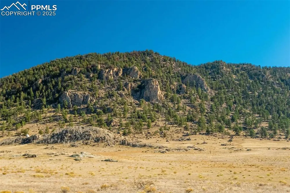 1354 Puma Hills Road Lake George, CO 80827
