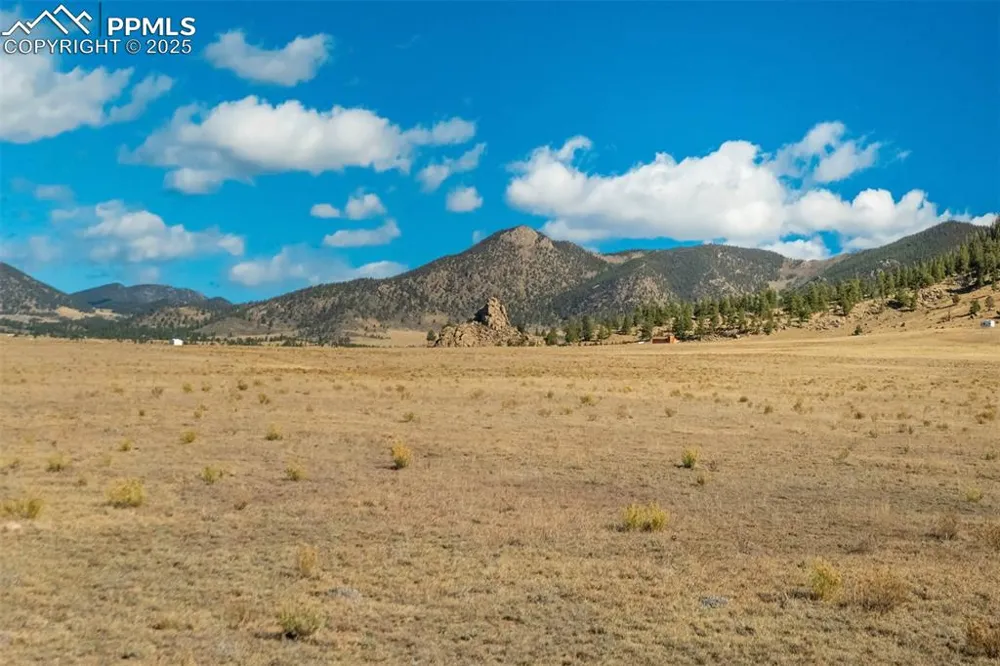 1354 Puma Hills Road Lake George, CO 80827