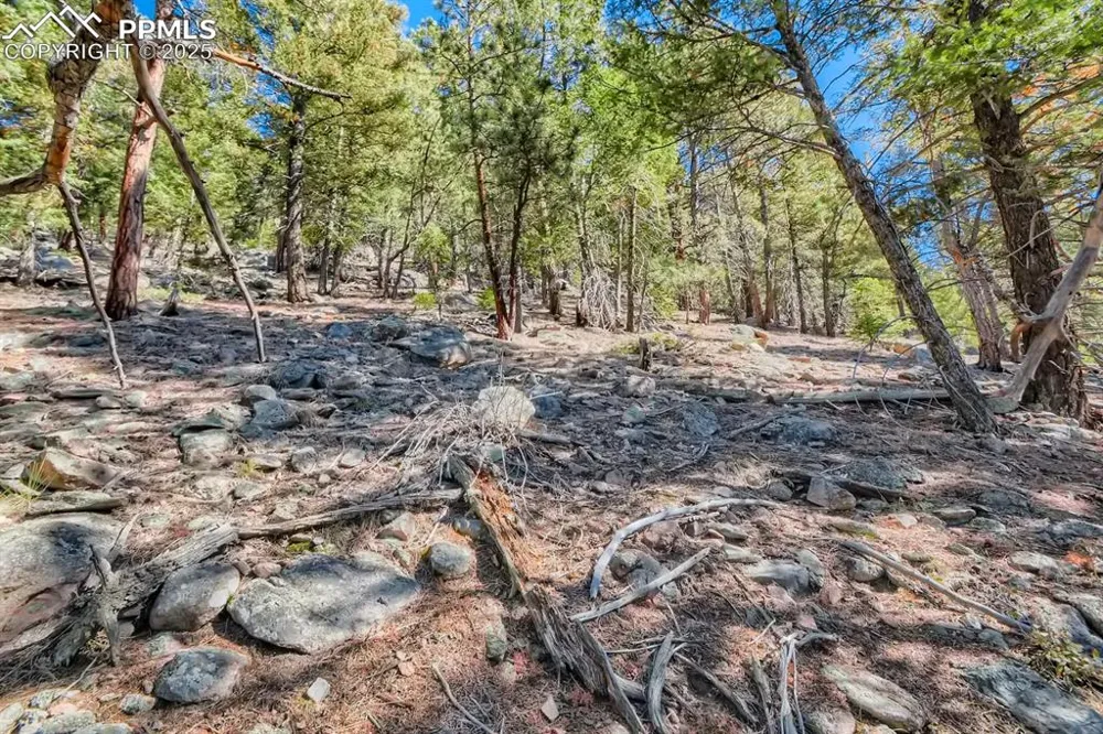 0 Elsie Road Conifer, CO 80433