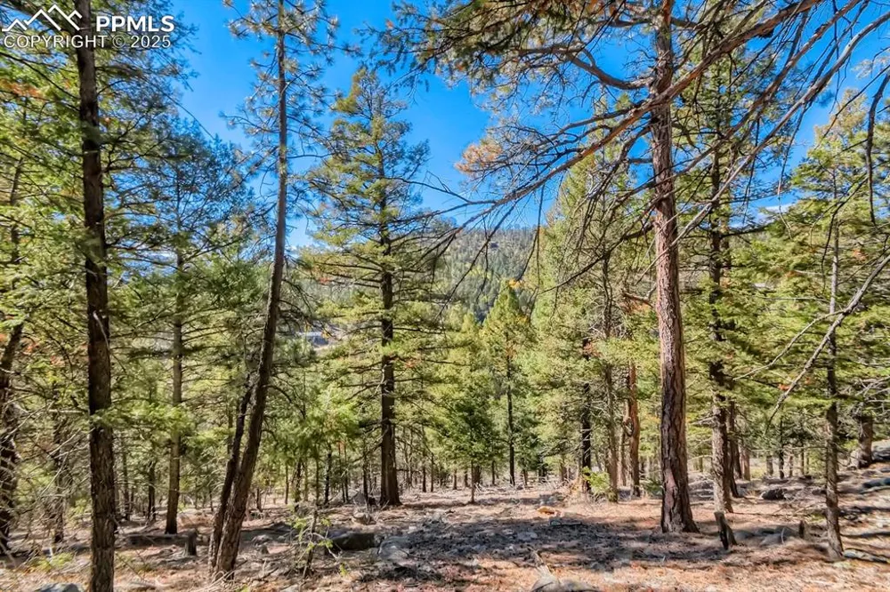 0 Elsie Road Conifer, CO 80433
