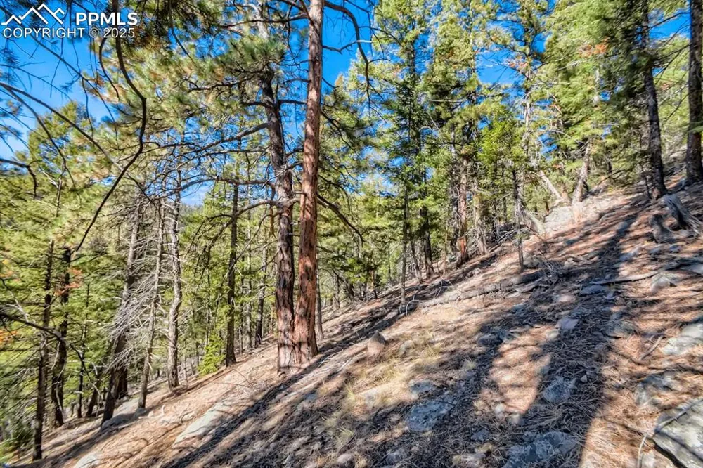 0 Elsie Road Conifer, CO 80433