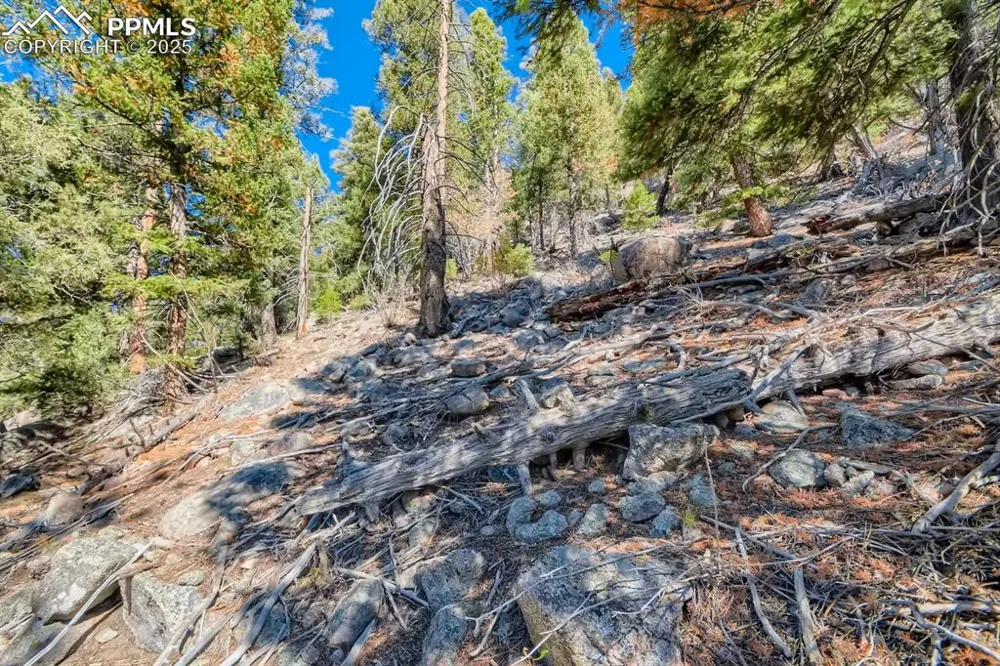 0 Elsie Road Conifer, CO 80433