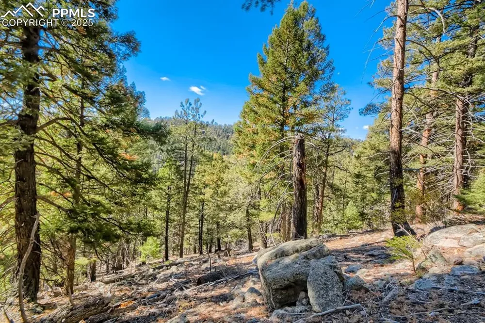 0 Elsie Road Conifer, CO 80433