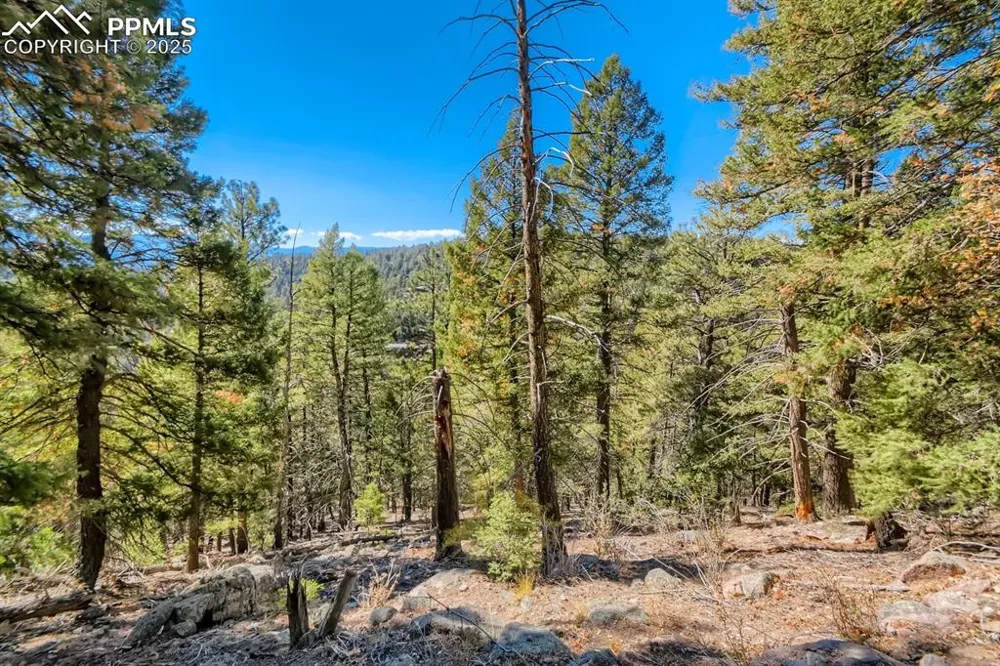 0 Elsie Road Conifer, CO 80433