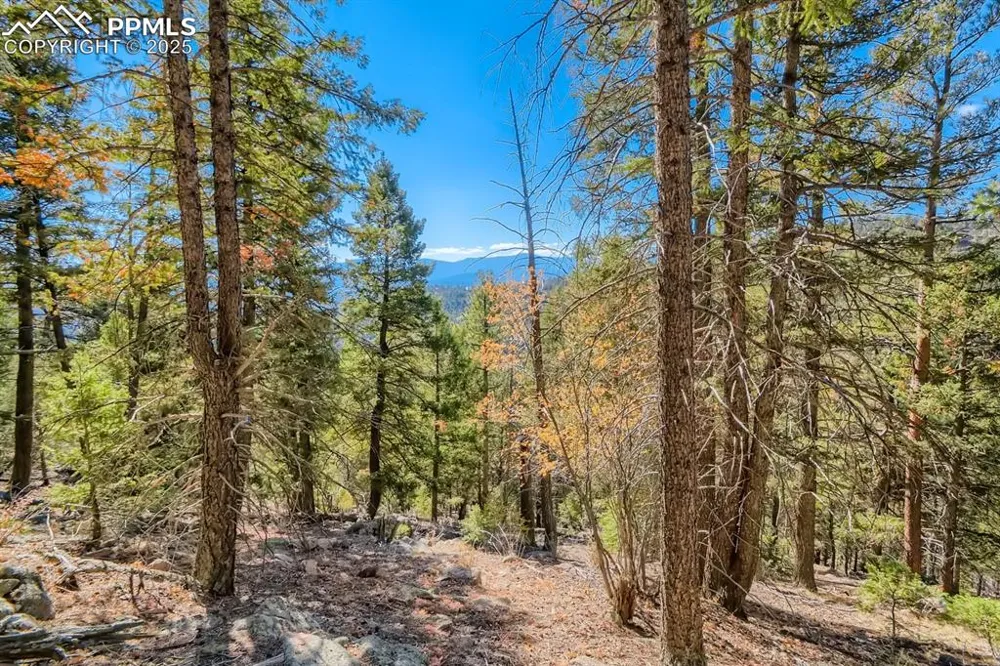 0 Elsie Road Conifer, CO 80433