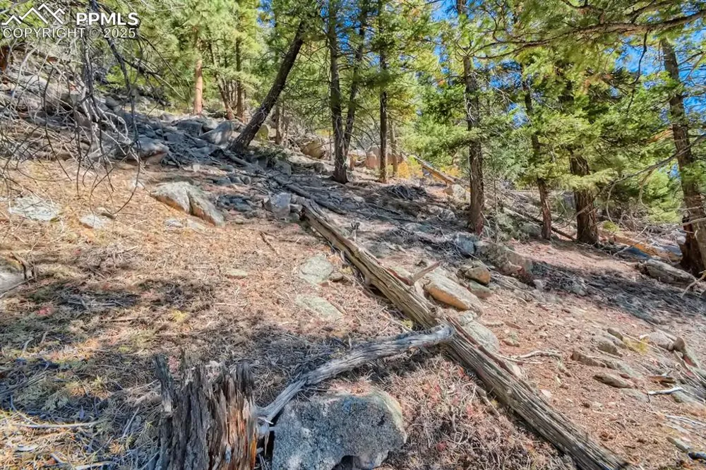 0 Elsie Road Conifer, CO 80433