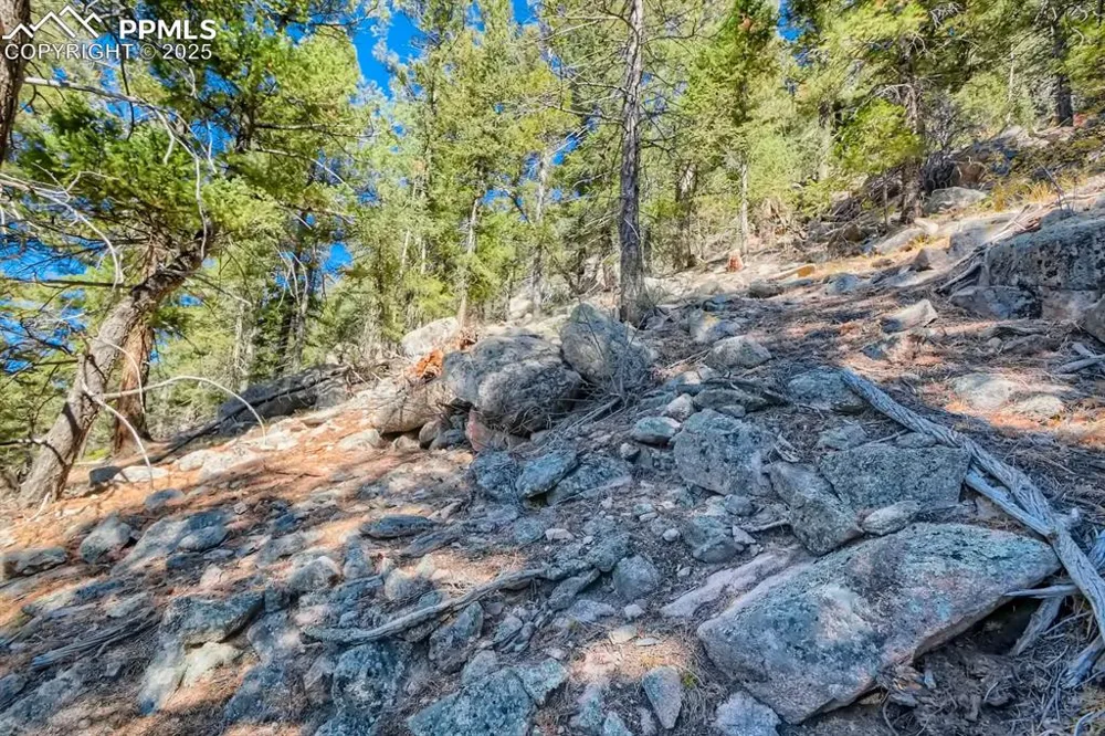 0 Elsie Road Conifer, CO 80433