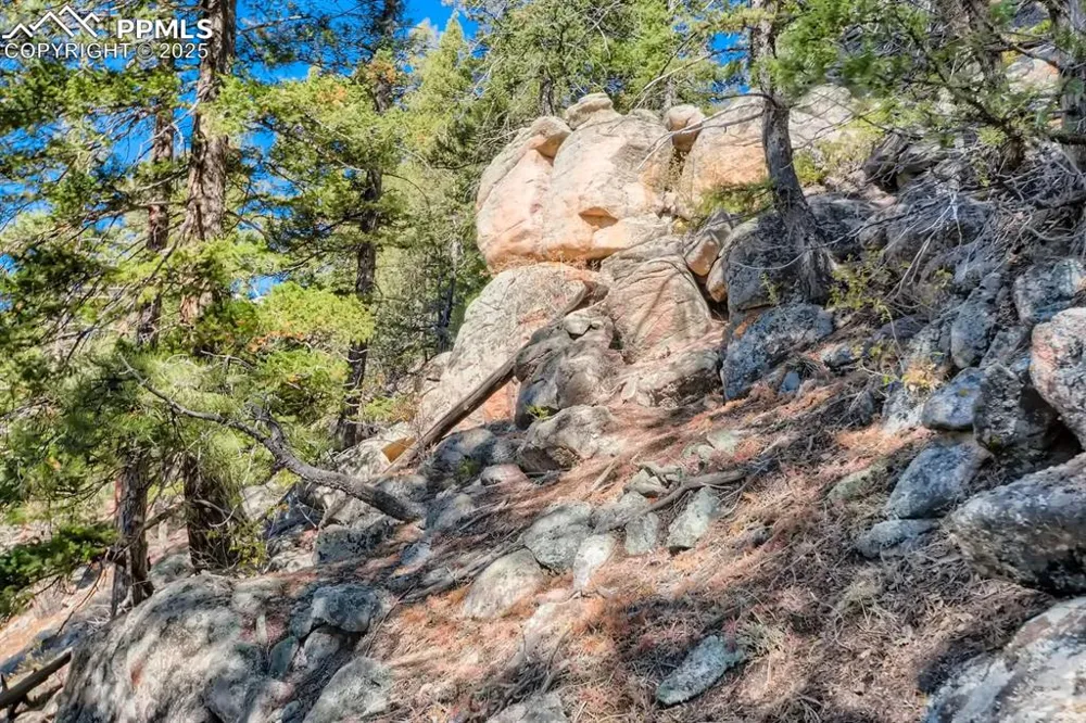 0 Elsie Road Conifer, CO 80433