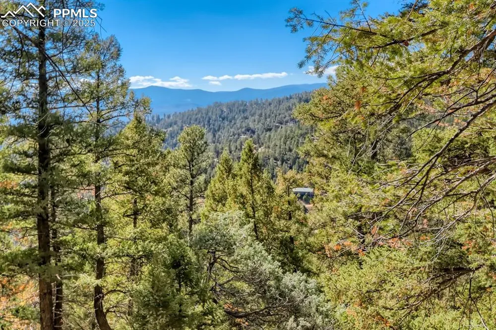 0 Elsie Road Conifer, CO 80433