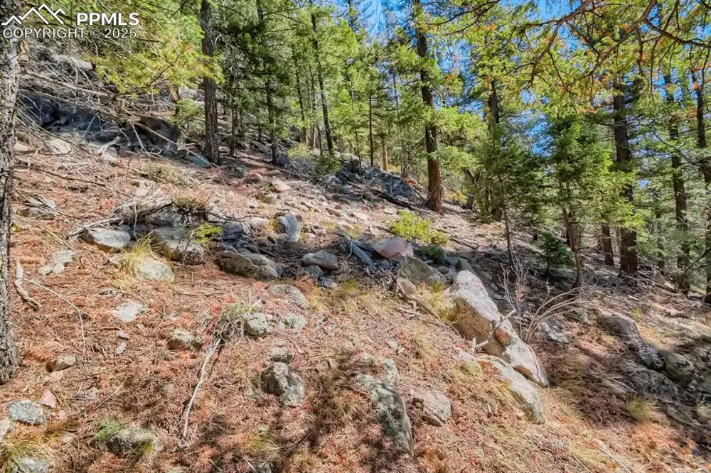0 Elsie Road Conifer, CO 80433