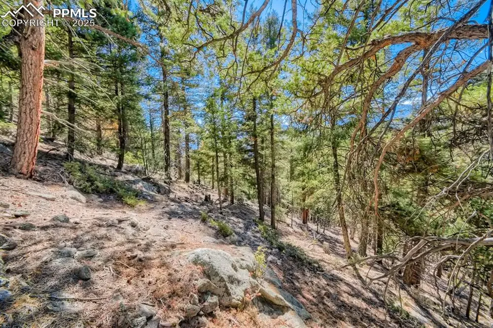 0 Elsie Road Conifer, CO 80433