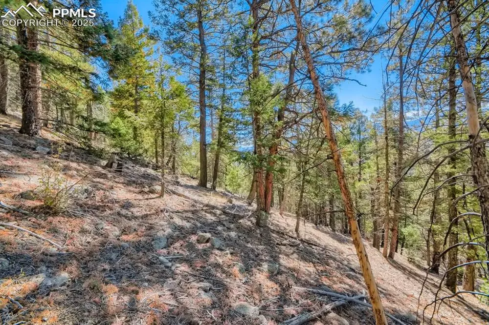 0 Elsie Road Conifer, CO 80433