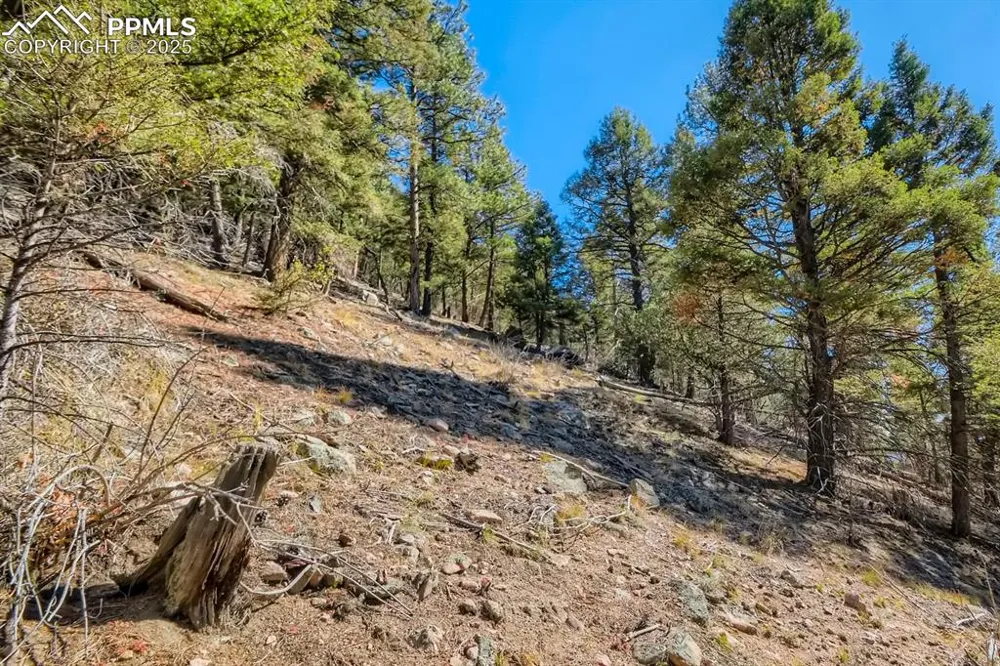 0 Elsie Road Conifer, CO 80433
