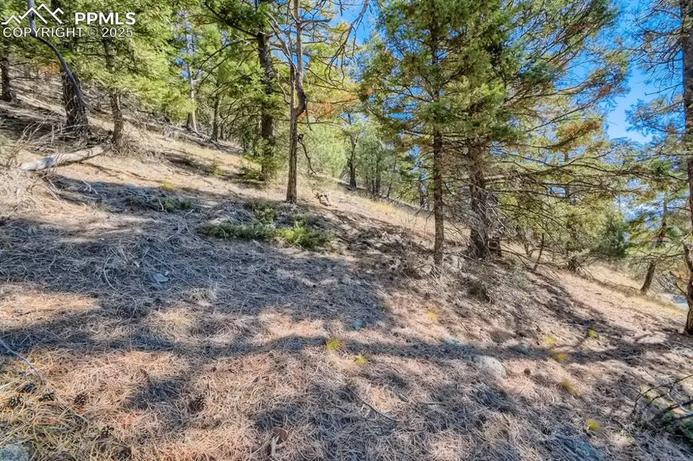 0 Elsie Road Conifer, CO 80433