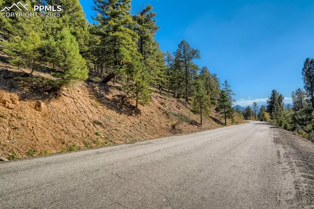 0 Elsie Road Conifer, CO 80433