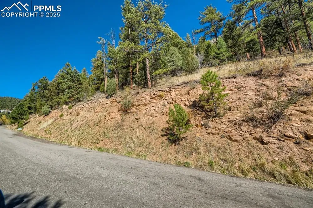 0 Elsie Road Conifer, CO 80433