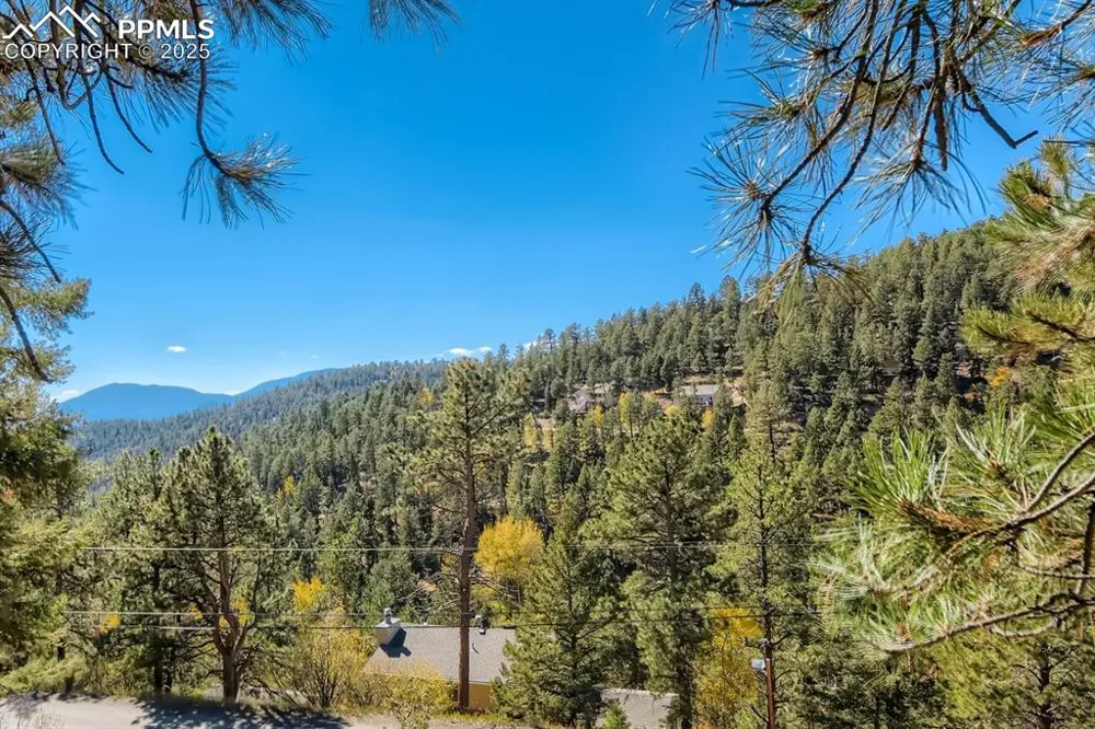 0 Elsie Road Conifer, CO 80433