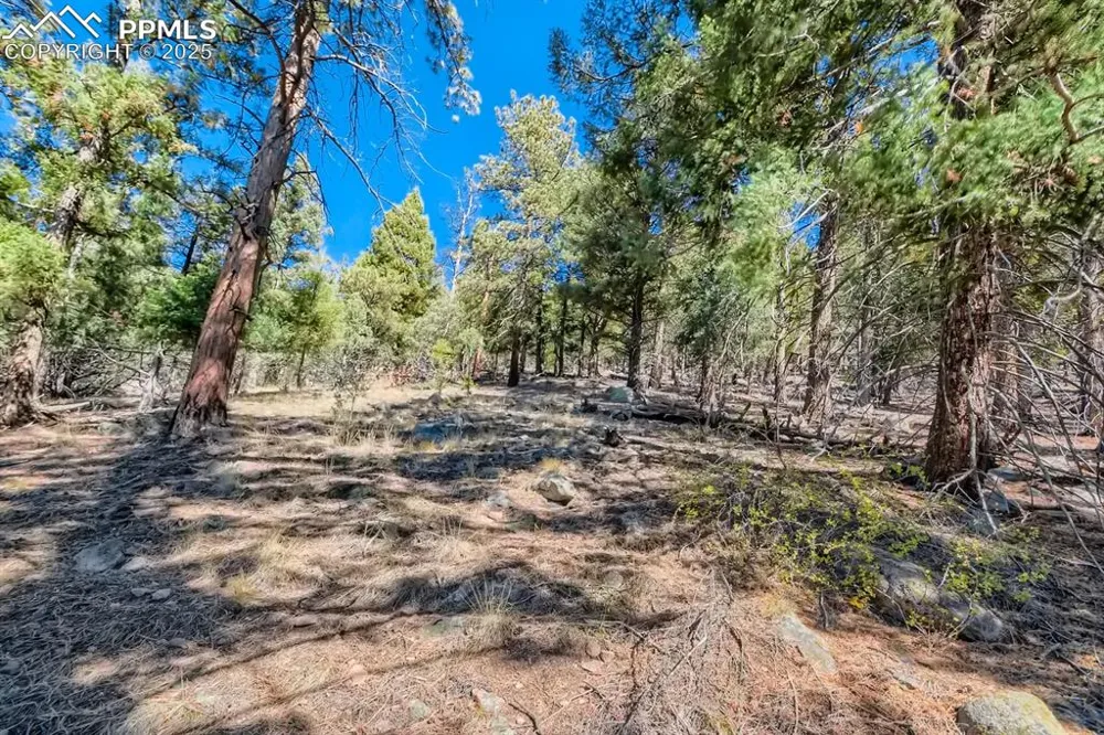 0 Elsie Road Conifer, CO 80433