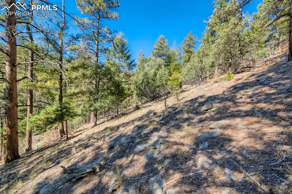 0 Elsie Road Conifer, CO 80433
