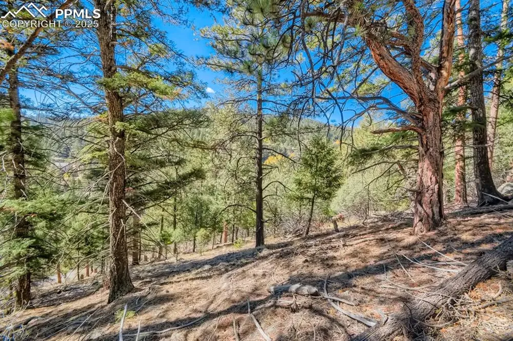 0 Elsie Road Conifer, CO 80433
