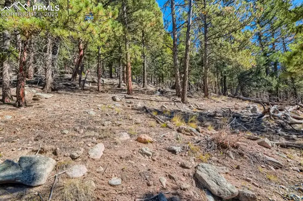 0 Elsie Road Conifer, CO 80433