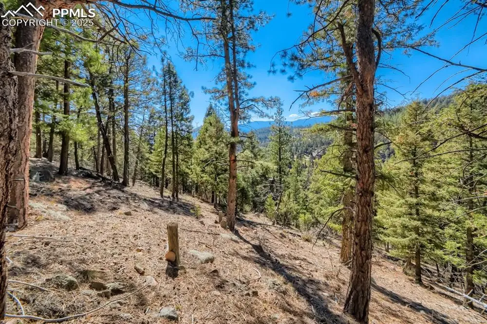 0 Elsie Road Conifer, CO 80433