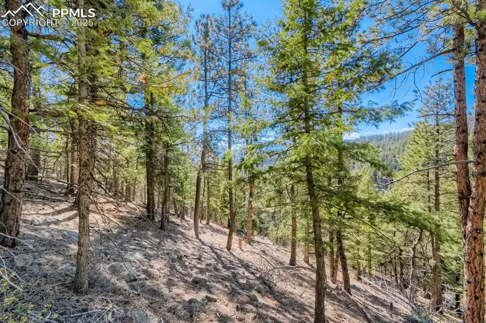0 Elsie Road Conifer, CO 80433