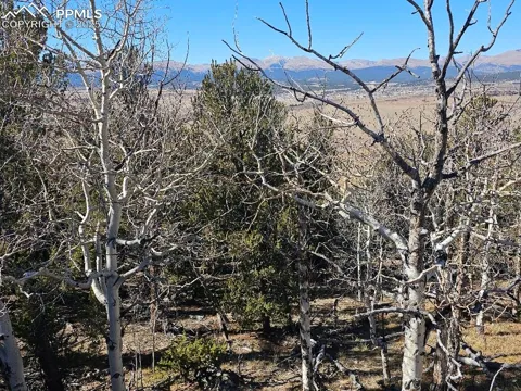 5585 Middle Fork Vista