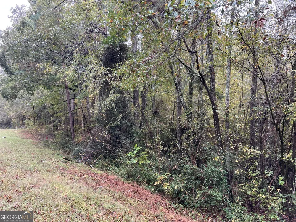 0 Clinton Crossing Gray, GA 31032