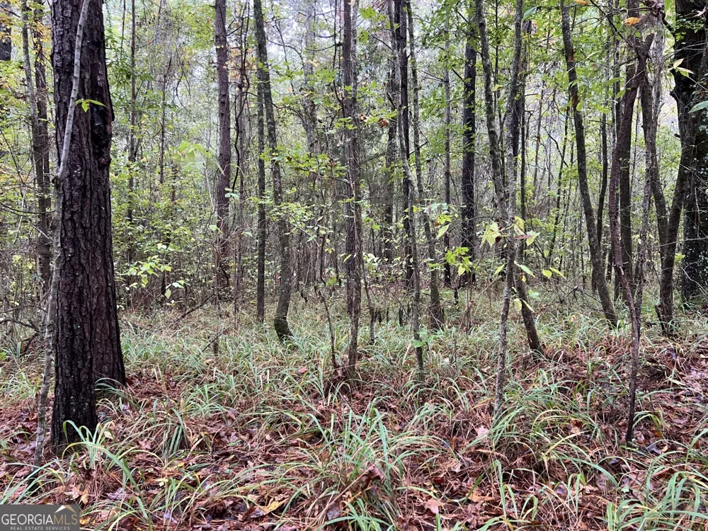 0 Clinton Crossing Gray, GA 31032