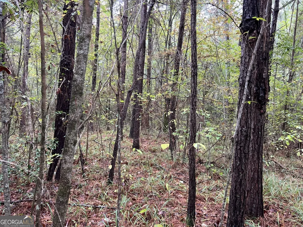 0 Clinton Crossing Gray, GA 31032
