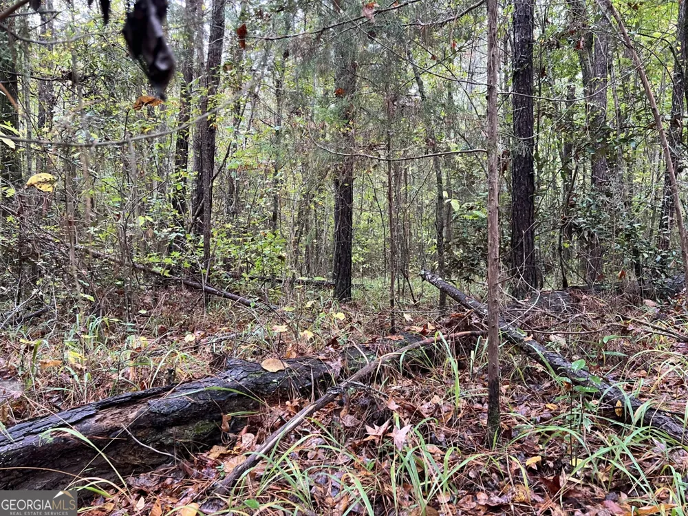 0 Clinton Crossing Gray, GA 31032