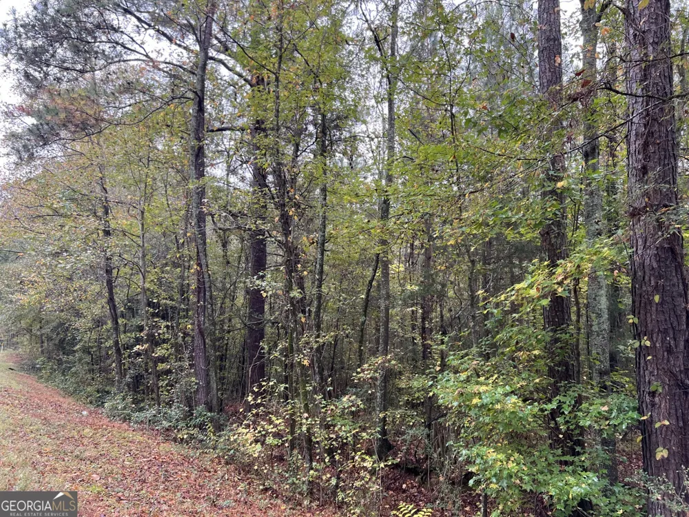 0 Clinton Crossing Gray, GA 31032