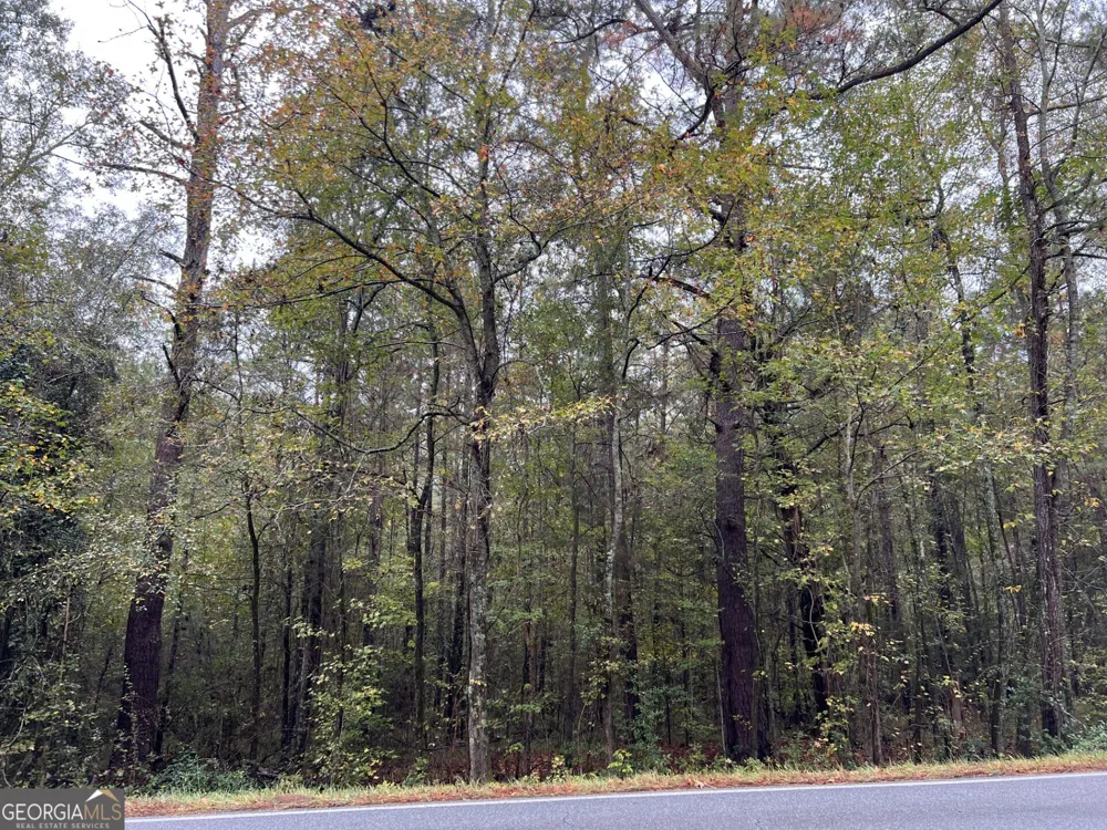 0 Clinton Crossing Gray, GA 31032