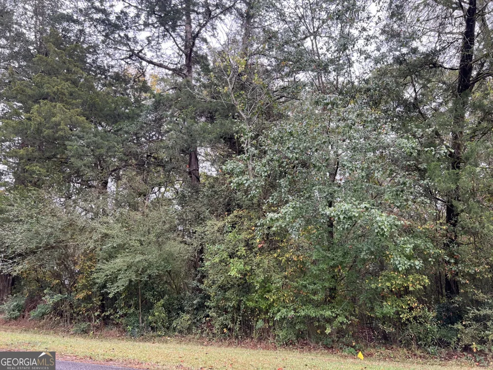 0 Clinton Crossing Gray, GA 31032