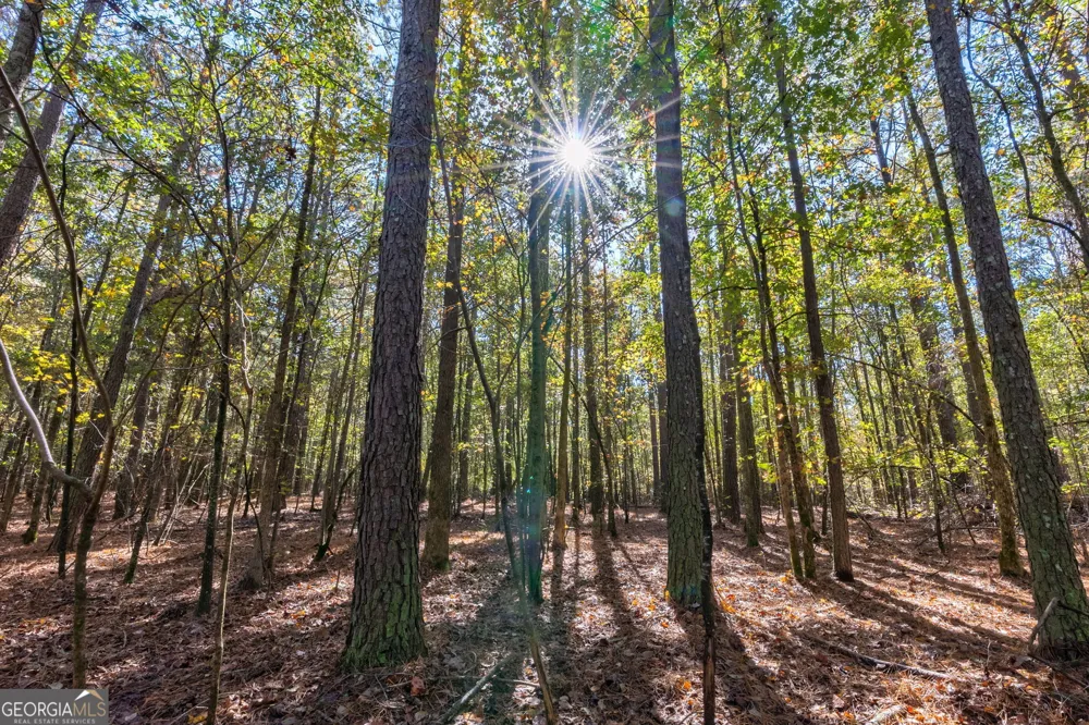 0 Wilson LN Arnoldsville, GA 30619