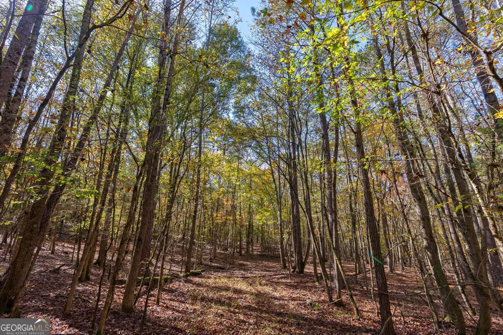 0 Wilson LN Arnoldsville, GA 30619