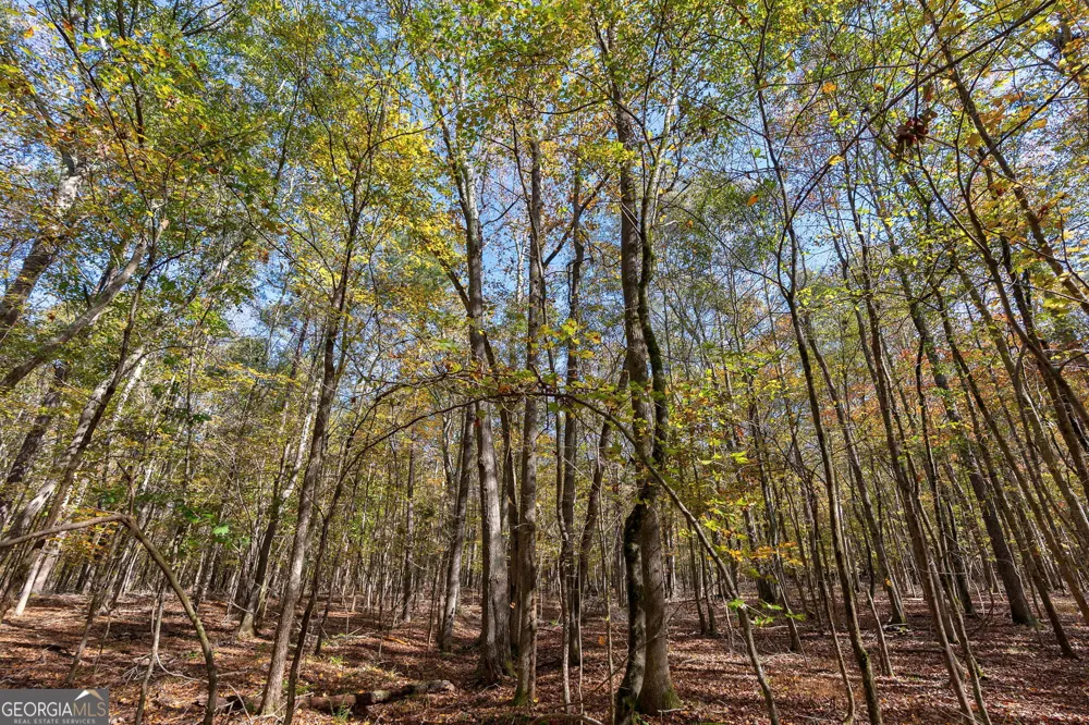0 Wilson LN Arnoldsville, GA 30619