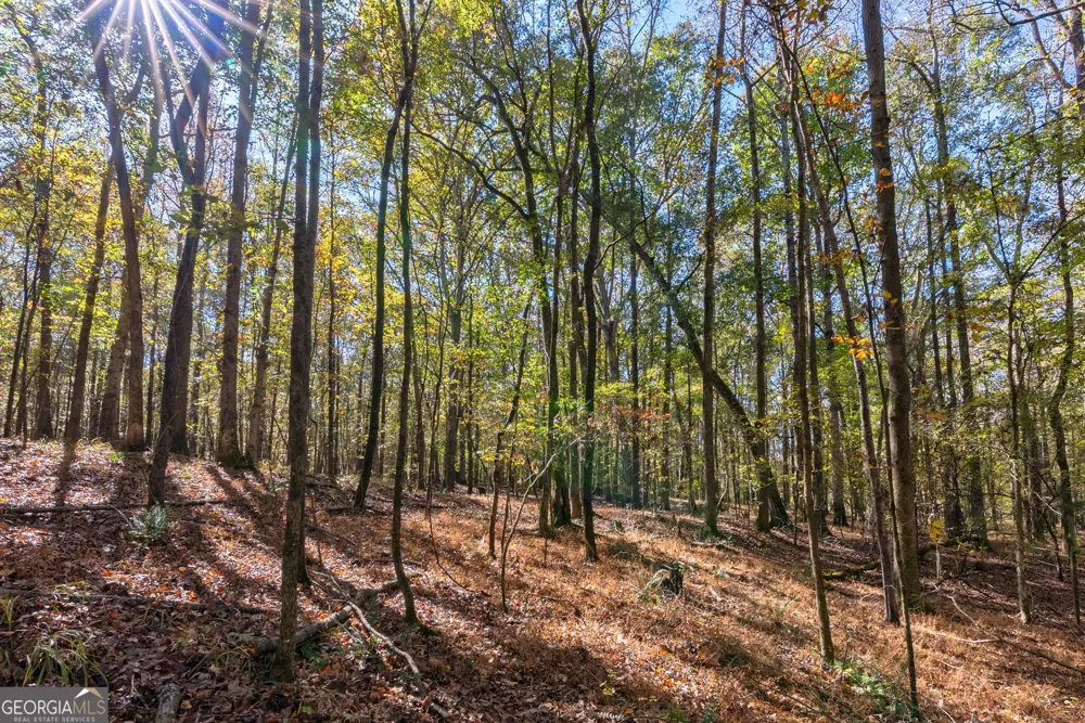 0 Wilson LN Arnoldsville, GA 30619