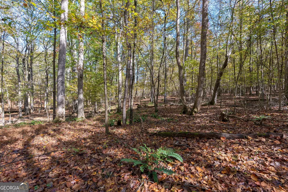 0 Wilson LN Arnoldsville, GA 30619