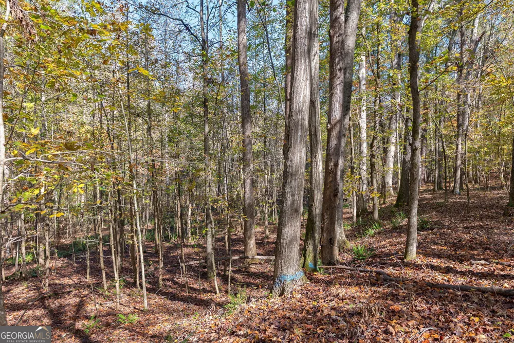 0 Wilson LN Arnoldsville, GA 30619