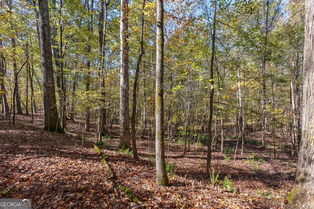 0 Wilson LN Arnoldsville, GA 30619